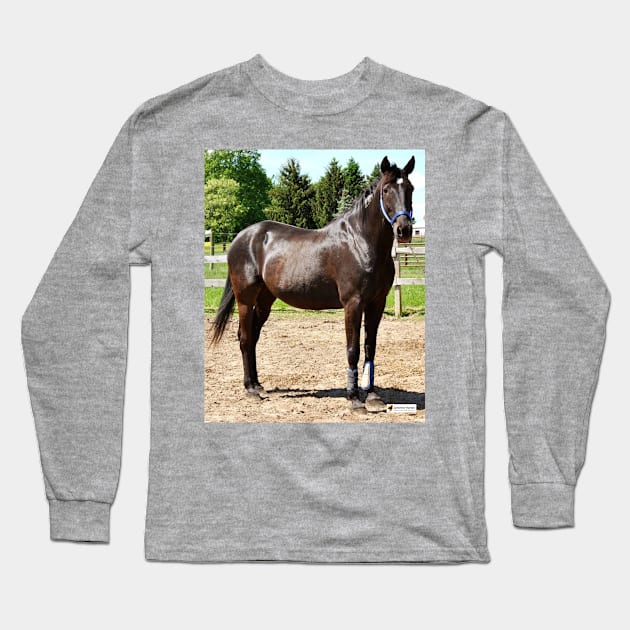 Russ Long Sleeve T-Shirt by SunshineHorses